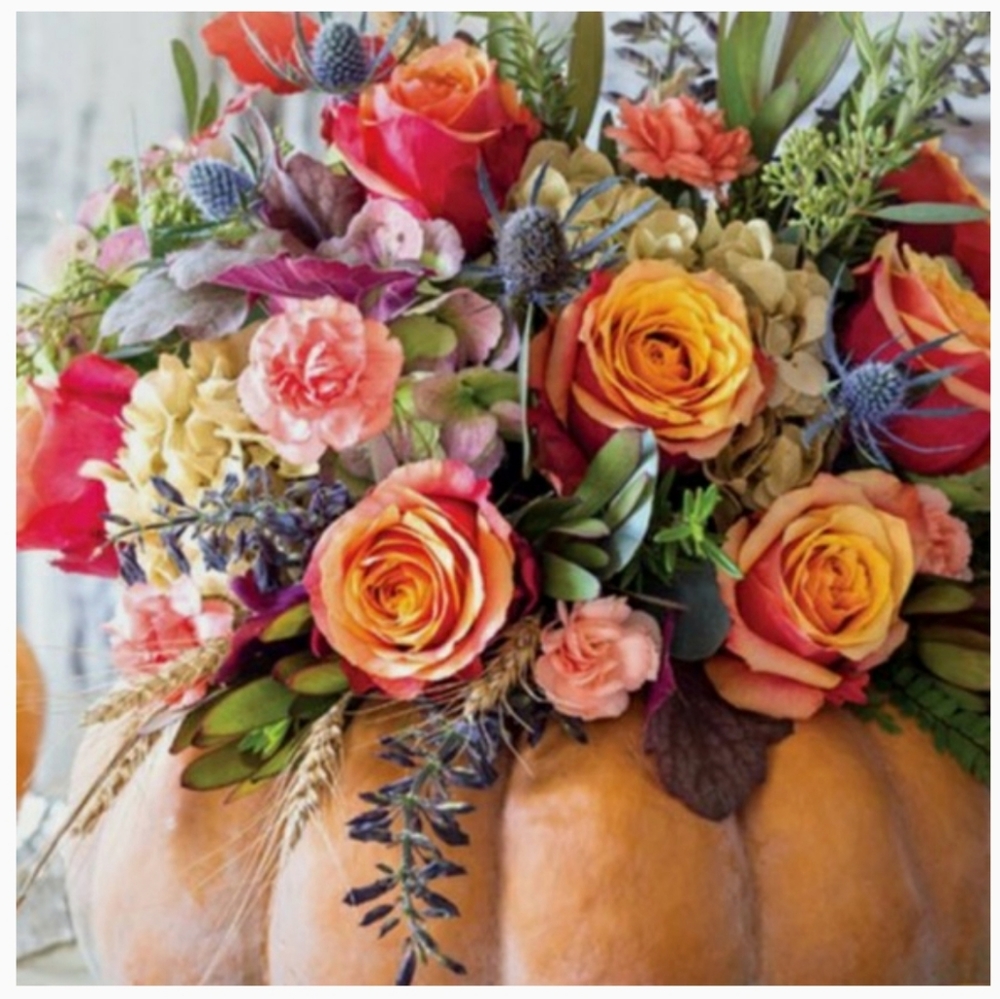 Q&A⬇️🙋🏼Pls go "like" new Q&A/deleting this soon! - Picture 14 of 15